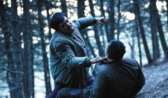 暴烈无声高清在线播放,高清在线播放，揭开黑暗真相的惊悚之旅