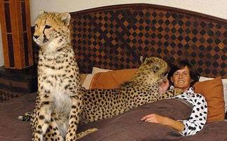 免费观看女生与动物,免费观看女生与动物的感人瞬间