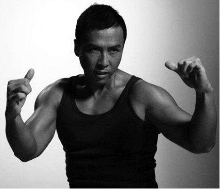 甄子丹的职业比赛视频