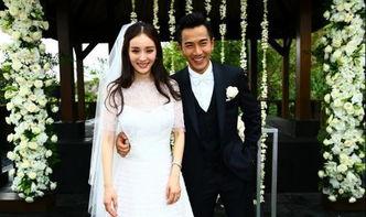 明星结婚酒店,揭秘明星们钟爱的结婚酒店