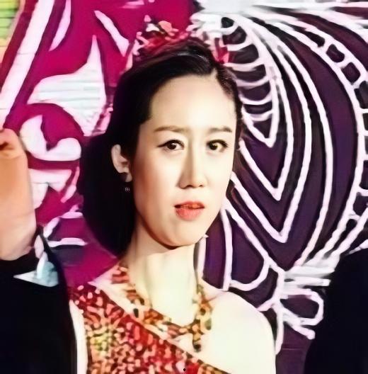 明星田菲,星光璀璨的演艺之路